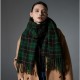 Wholesale of cross-border hot foreign trade new style scarves, European and American autumn and winter fringed green checkered scarves and shawls from Tonglu manufacturer